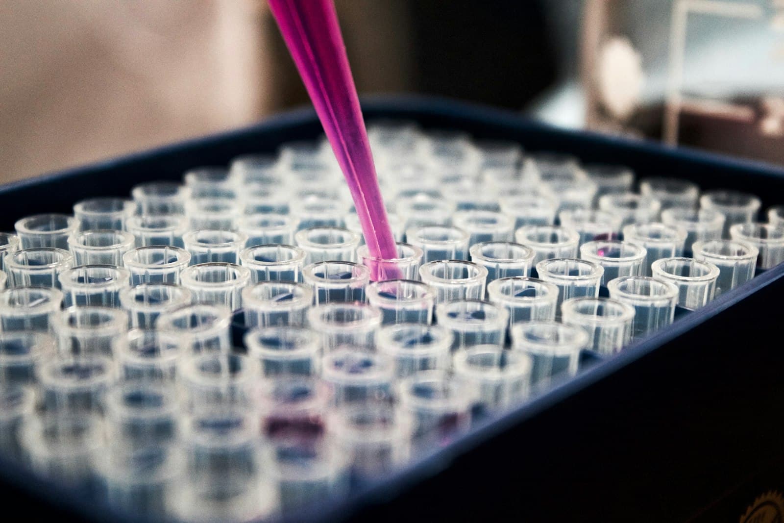 Laboratory technician pipetting samples